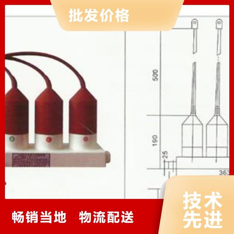 【過電壓保護(hù)器】絕緣子來圖定制