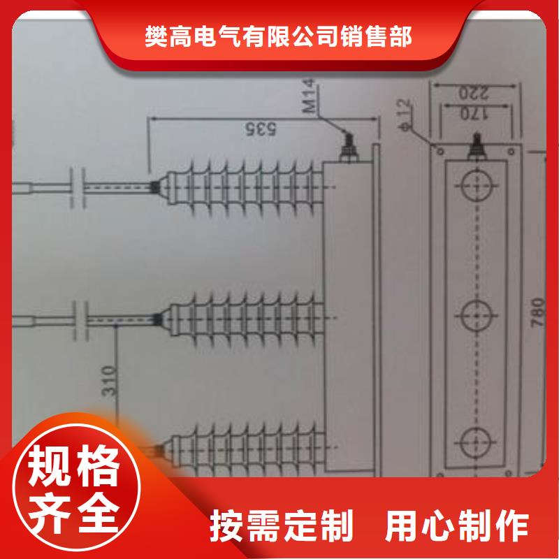 BSTG-A-17避雷器用保護器