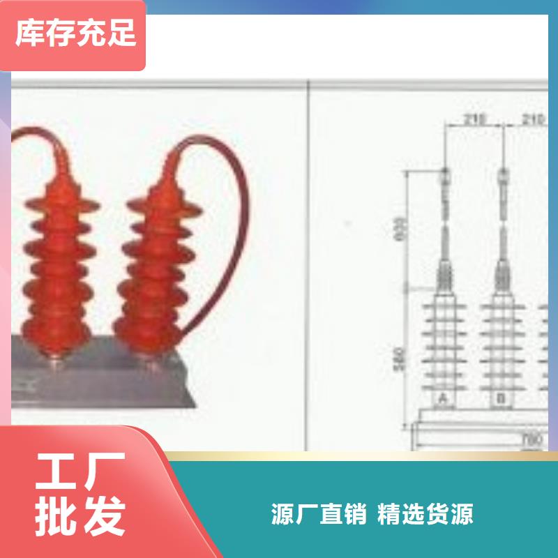 TBP-C-42F/310三相組合式避雷器