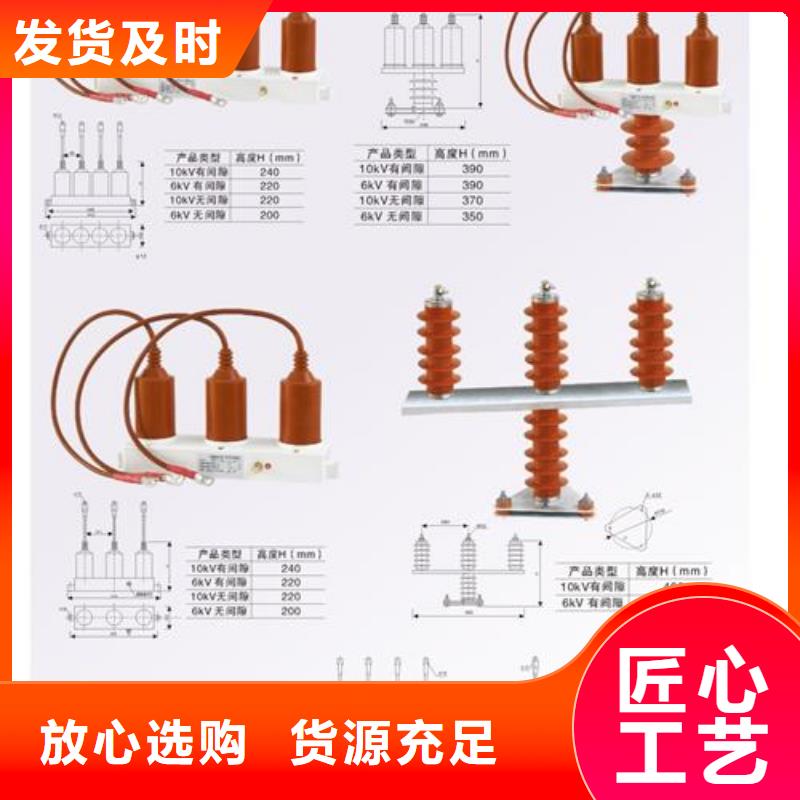 TBP-A-42F/310三相組合式氧化鋅避雷器