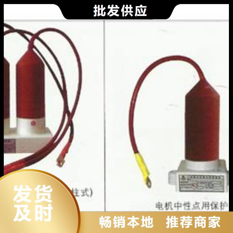 TBP-A-42F/200串聯間隙過電壓保護器