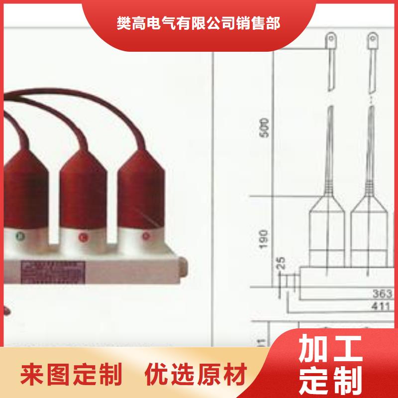 BSTG-A-17避雷器用保護器