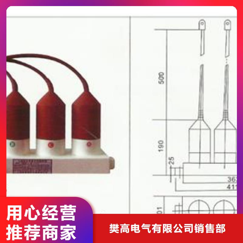 TBP-C-7.6F/85-J組合式避雷器樊高電氣