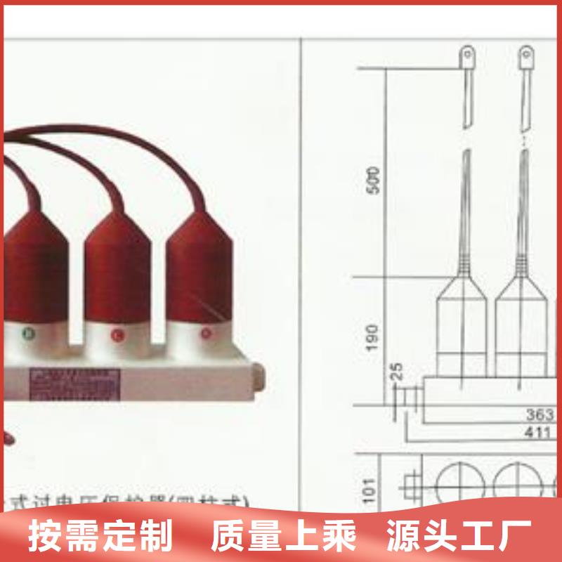 過電壓保護器氧化鋅避雷器銷售專業生產團隊