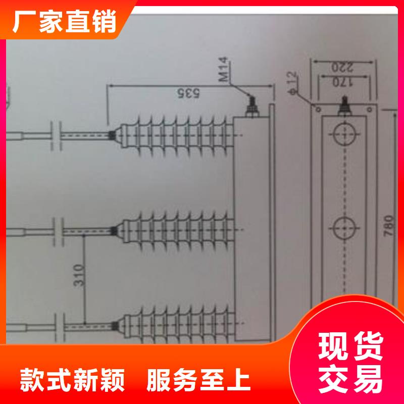 TBP-A-42F/310三相組合式氧化鋅避雷器