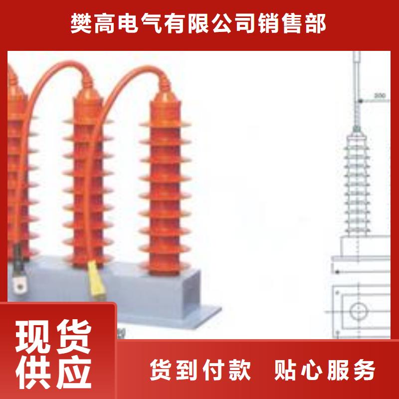 BSTG-B-35避雷器用保護(hù)器