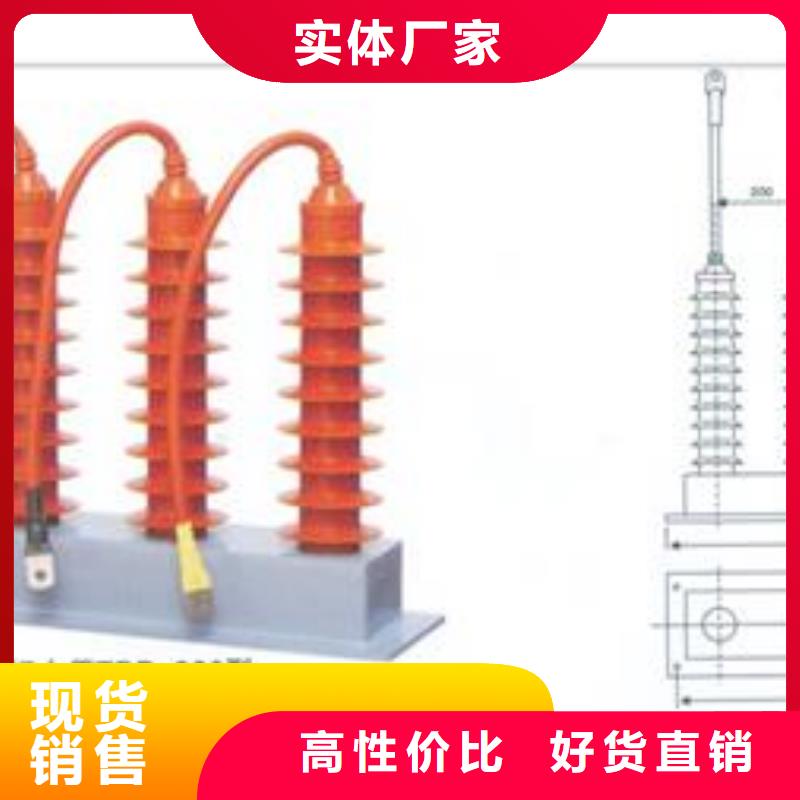 HFB-C-12.7F/131组合式避雷器