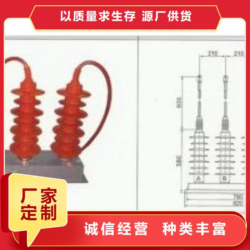 TBP-A-42F/200串聯間隙過電壓保護器