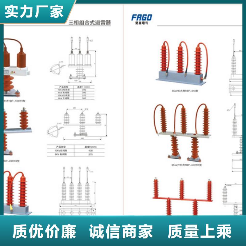 BSTG-B-35避雷器用保護器