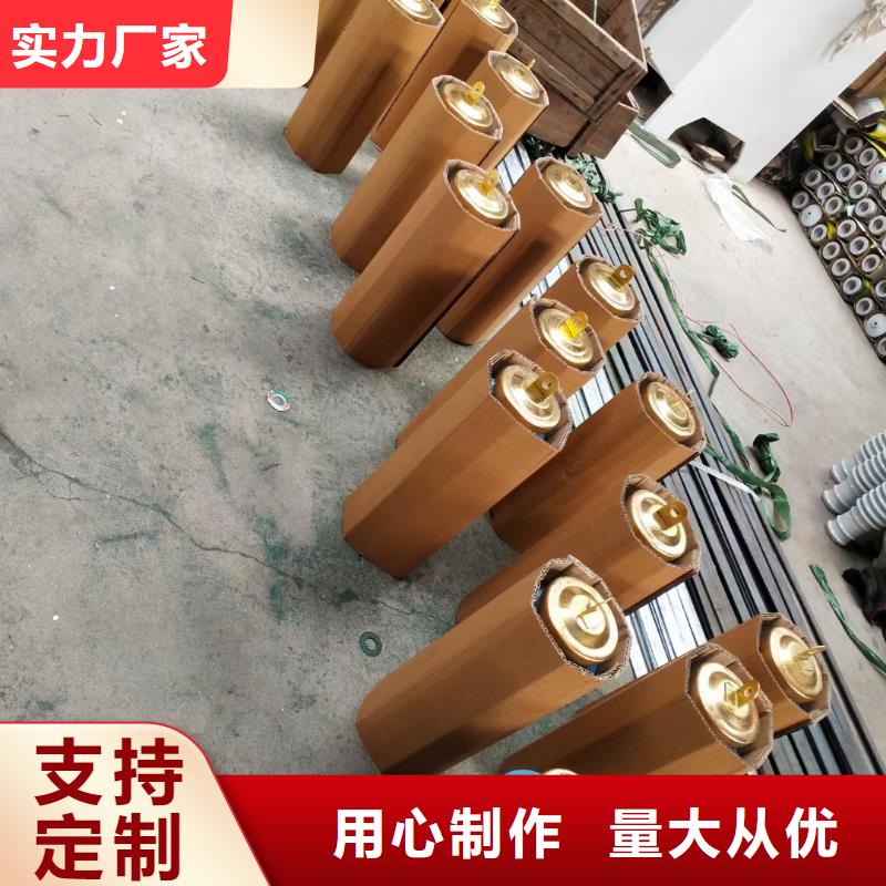 過電壓保護器氧化鋅避雷器品質過硬