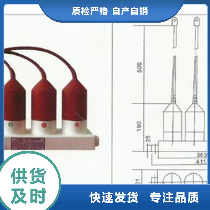 TBP-C-42F/310串聯間隙過電壓保護器