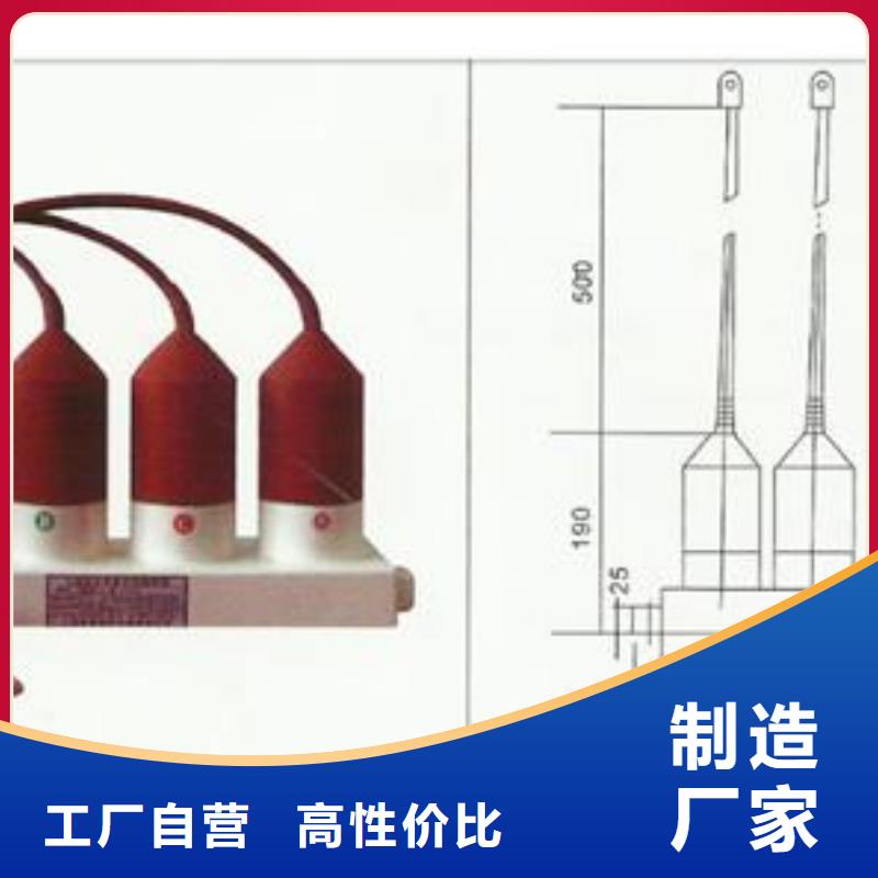 TBP-B-7.6F/100W1過(guò)電壓保護(hù)器