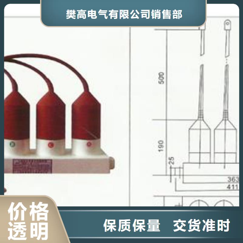 過(guò)電壓保護(hù)器-絕緣子信譽(yù)有保證