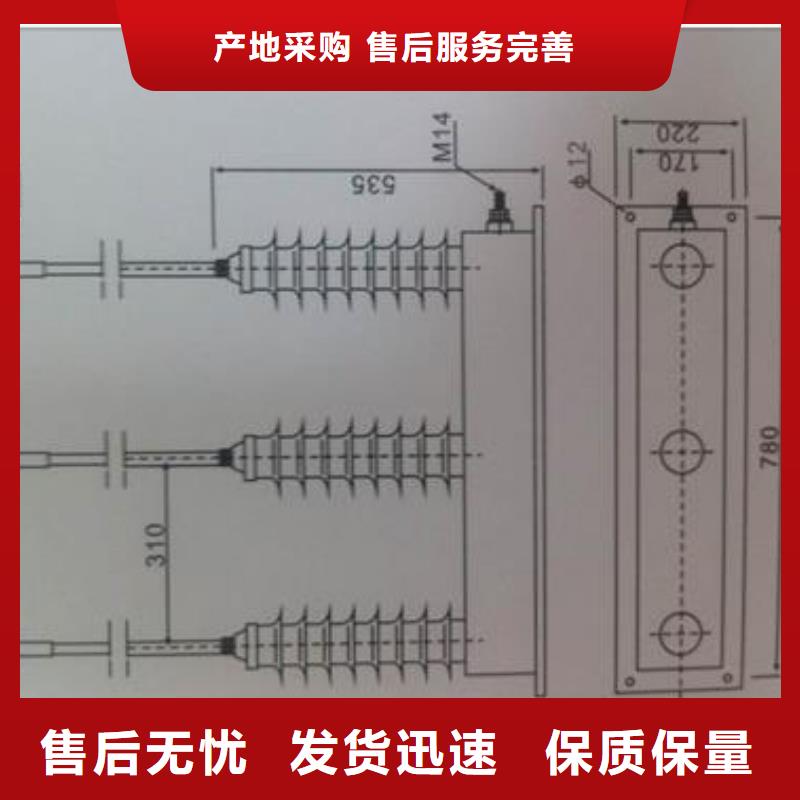 過電壓保護(hù)器跌落式熔斷器廠家服務(wù)始終如一