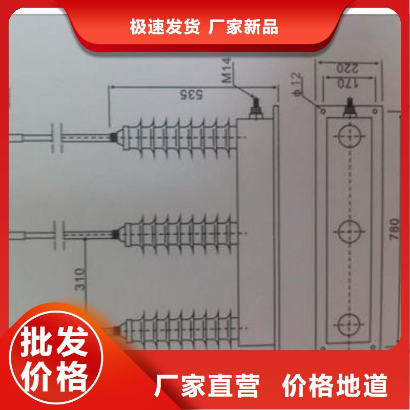 TBP-C-42F/200串聯(lián)間隙過電壓保護(hù)器