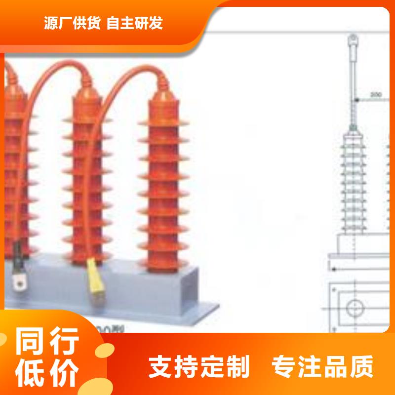 TBP-C-7.6/131F組合式保護器