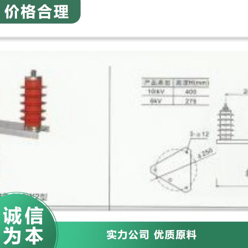 TBP-B-42F/310組合式避雷器樊高電氣