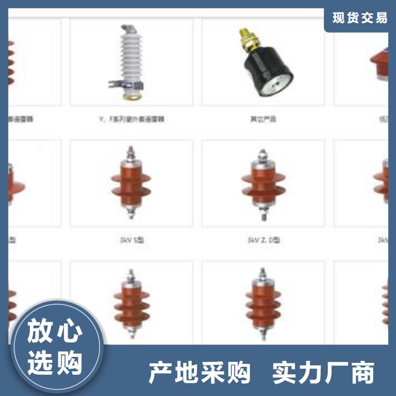 BSTG-C-12.7/131避雷器用保護器