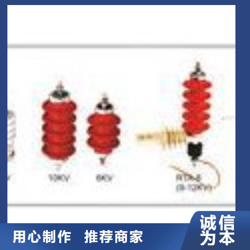 TBP-A-42F/200組合式避雷器