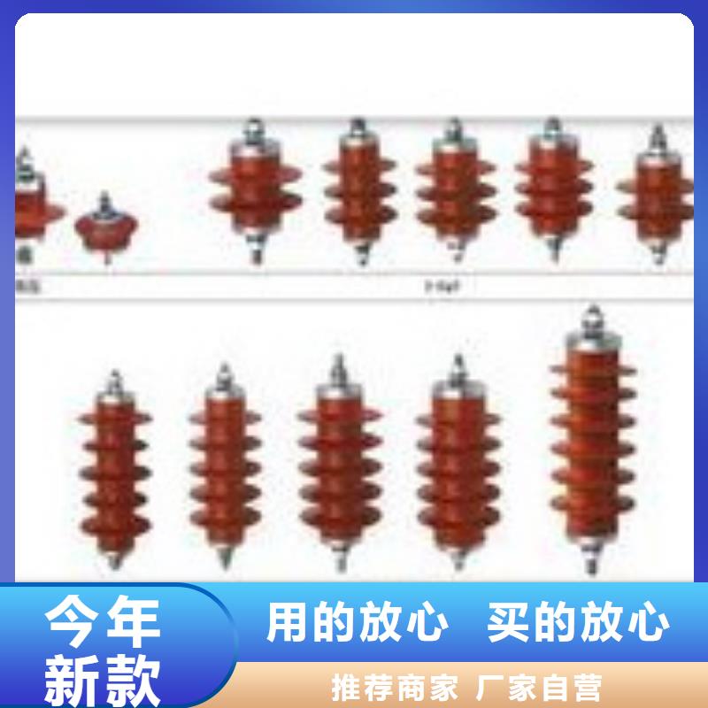 TBP-C-7.6/131組合式避雷器樊高電氣