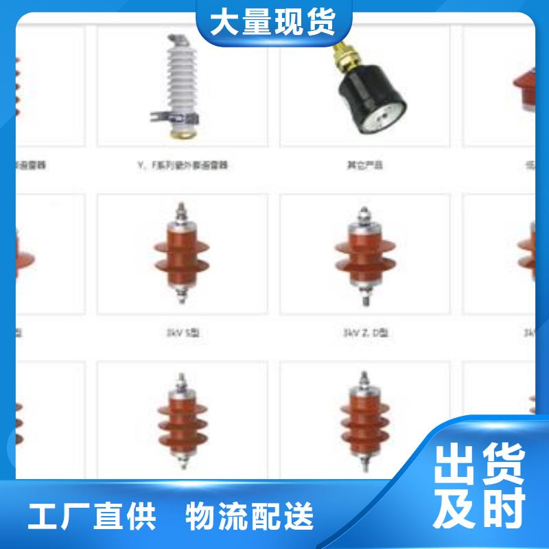 TBP-C-42F/310組合式避雷器樊高電氣