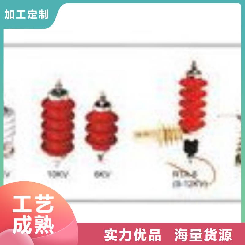 TBP-C-42F/310串聯間隙過電壓保護器