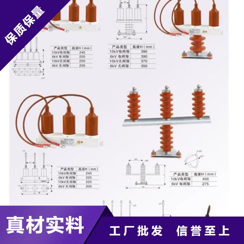 TBP-C-42F/200串聯(lián)間隙過電壓保護(hù)器