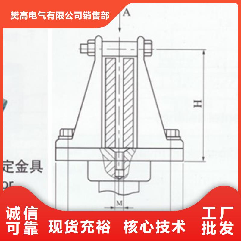 TMY-10*120高壓母線樊高