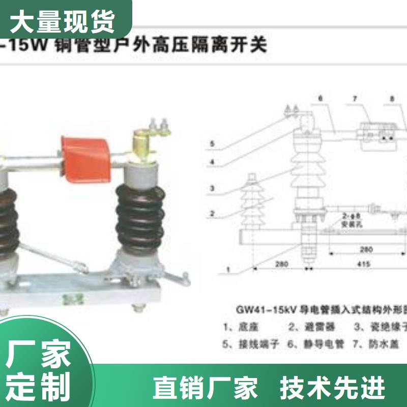 【隔離開關絕緣子專業品質】