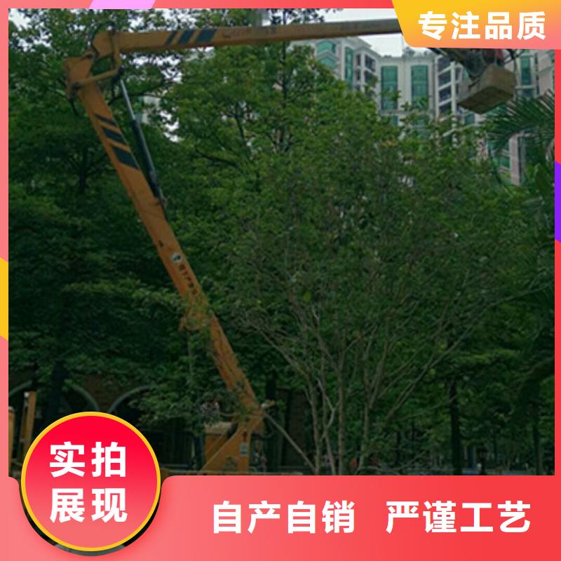 【 高空吊篮车租赁生产厂家】由中桥建为您