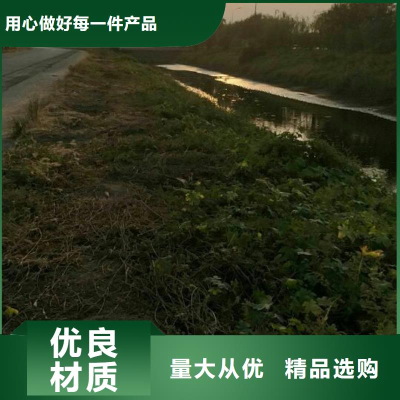污泥處理土壤固化劑品種全