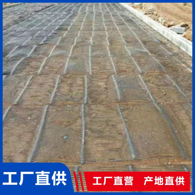 單向塑料格柵_【塑料土工格柵】工廠批發(fā)