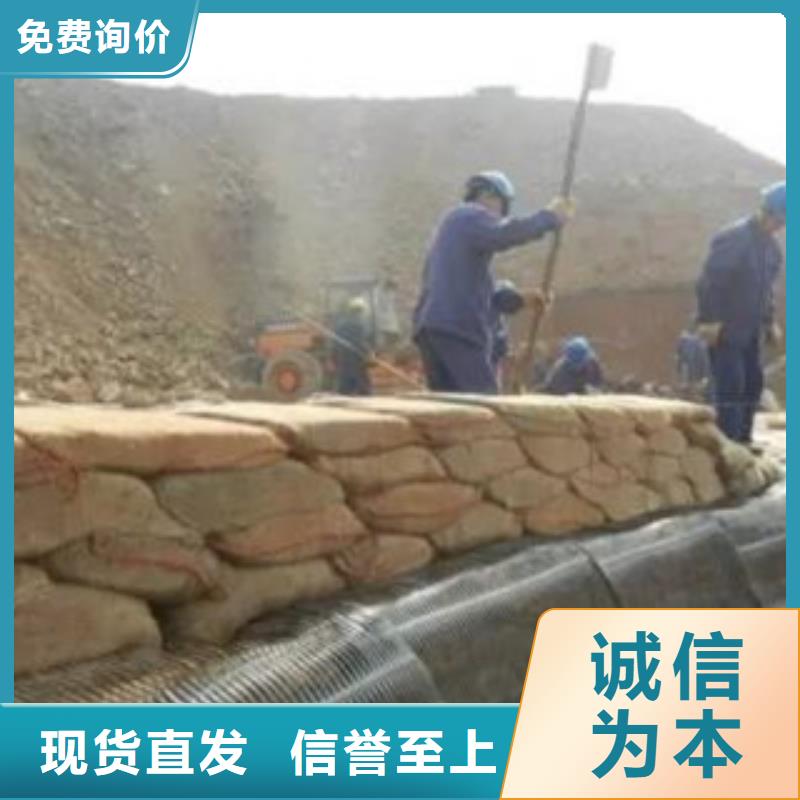 单向塑料格栅塑料土工格栅产地工厂