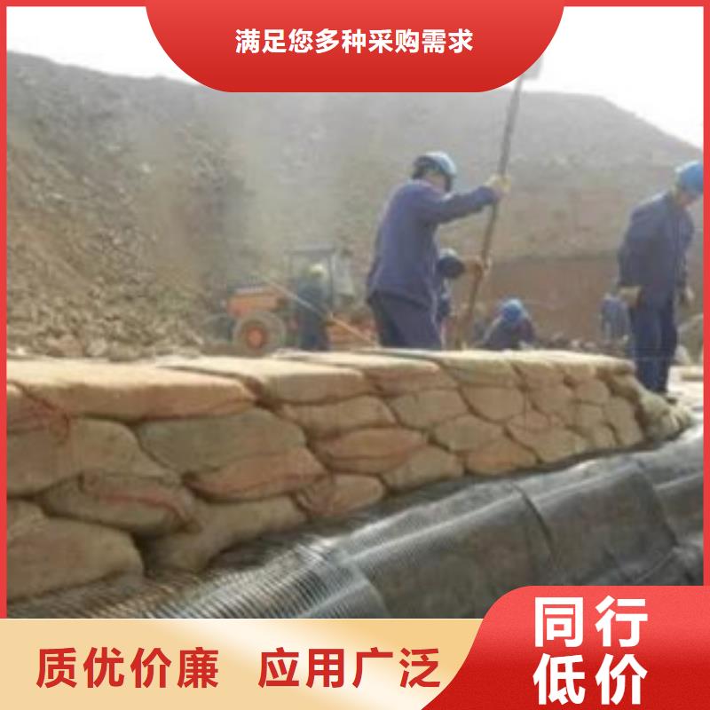 單向塑料格柵玻纖土工格柵實地大廠