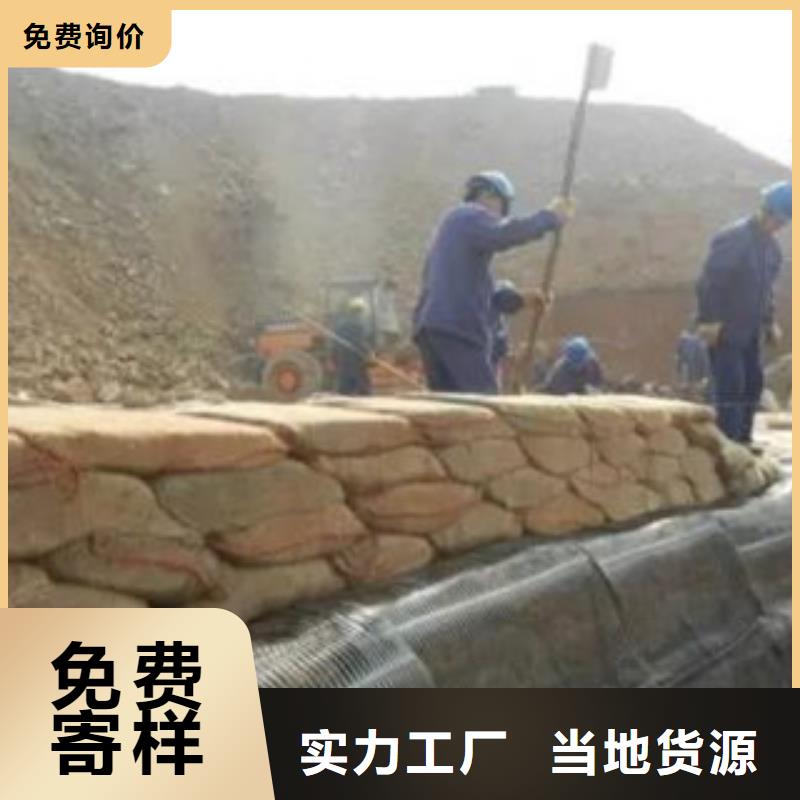 單向塑料格柵玻纖土工格柵質量安全可靠