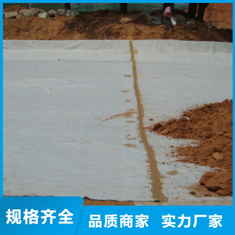 膨潤土防水毯【鋼塑土工格柵】根據(jù)要求定制