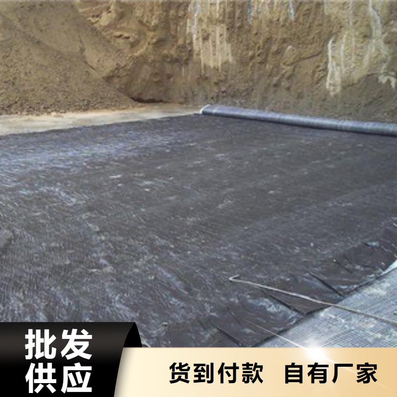 膨润土防水毯【钢塑土工格栅】根据要求定制