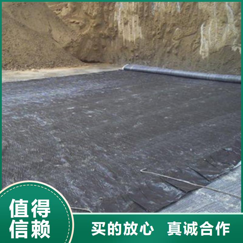 膨潤土防水毯【高強度土工網】實力廠家直銷