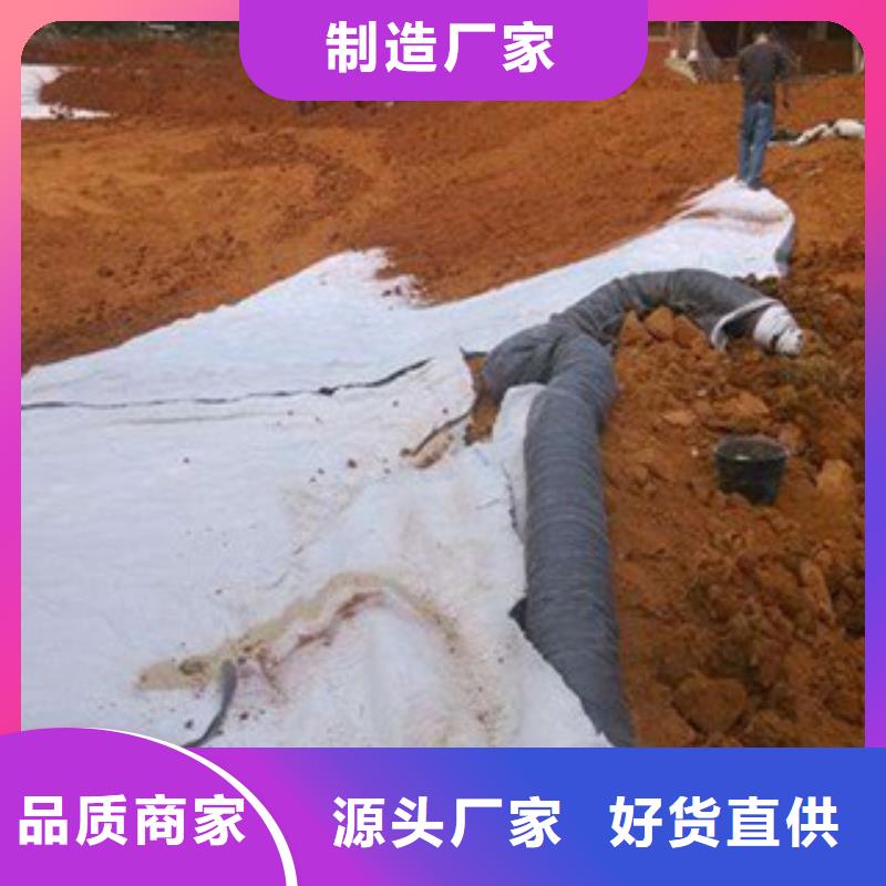 膨润土防水毯_塑料土工格栅严谨工艺