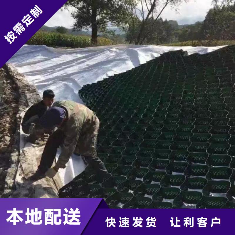 蜂巢格室土工布有实力有经验