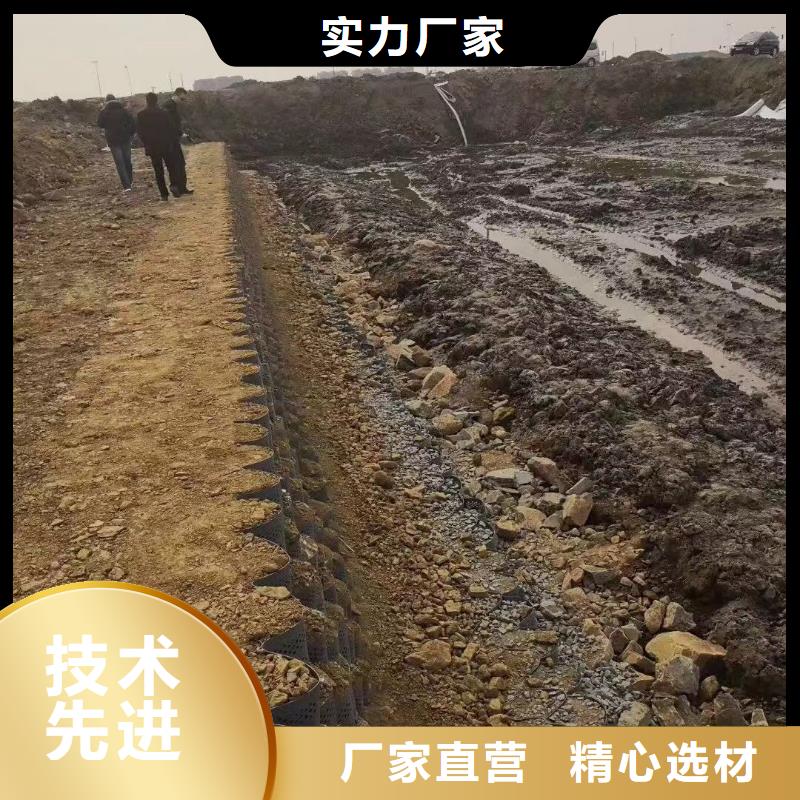 【蜂巢格室钢塑土工格栅本地厂家值得信赖】