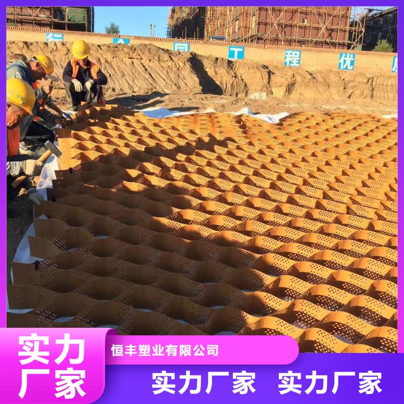 【蜂巢格室双向塑料土工格栅实拍展现】