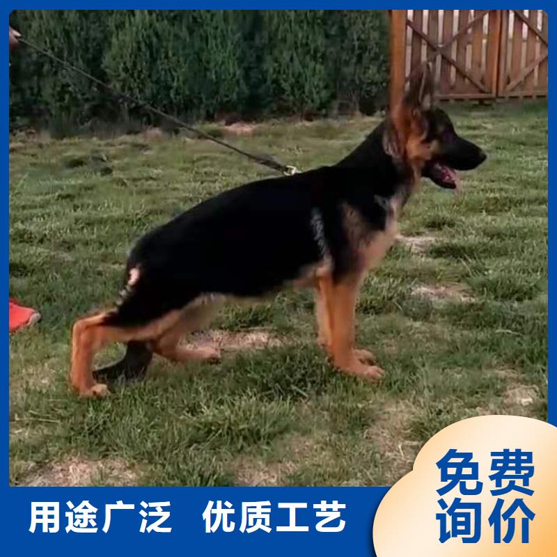 【德國牧羊犬】,羅威納犬熱銷產品