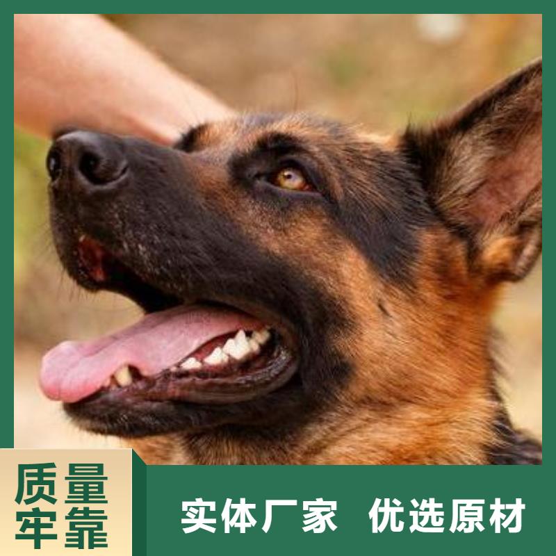 德國牧羊犬比特犬優選原材