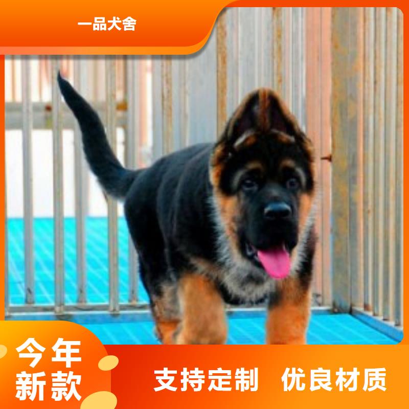 德国牧羊犬-【德牧犬】N年大品牌