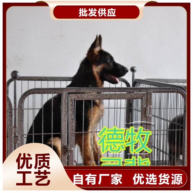 德國牧羊犬-比特犬拒絕中間商