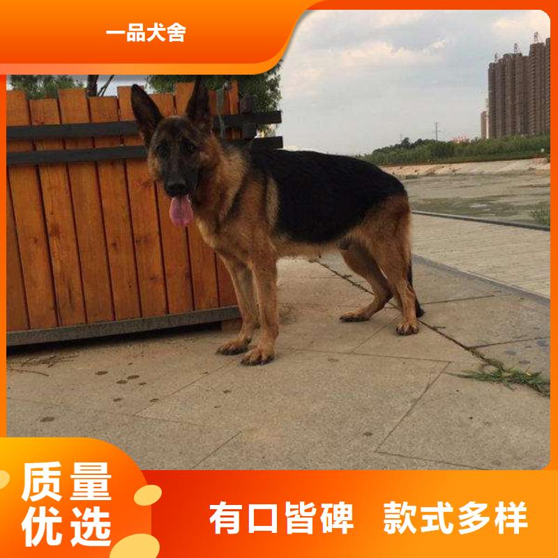 德國(guó)牧羊犬-【德牧犬】使用方法