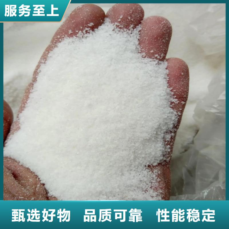 反硝化菌厂家现货