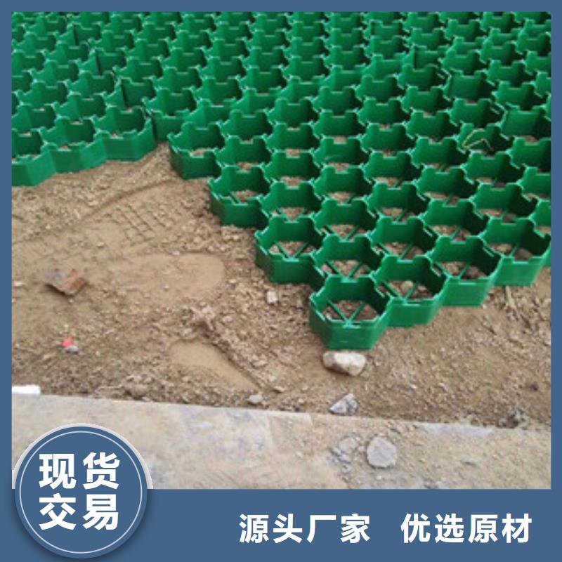 環(huán)保植草格土工膜廠家同行低價(jià)