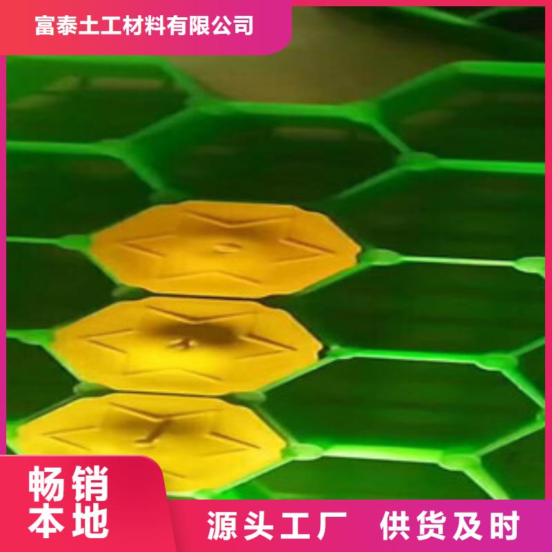 【環(huán)保植草格】土工布廠家多種工藝